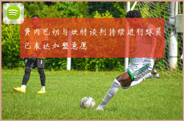 费内巴切与坎特谈判持续进行球员已表达加盟意愿